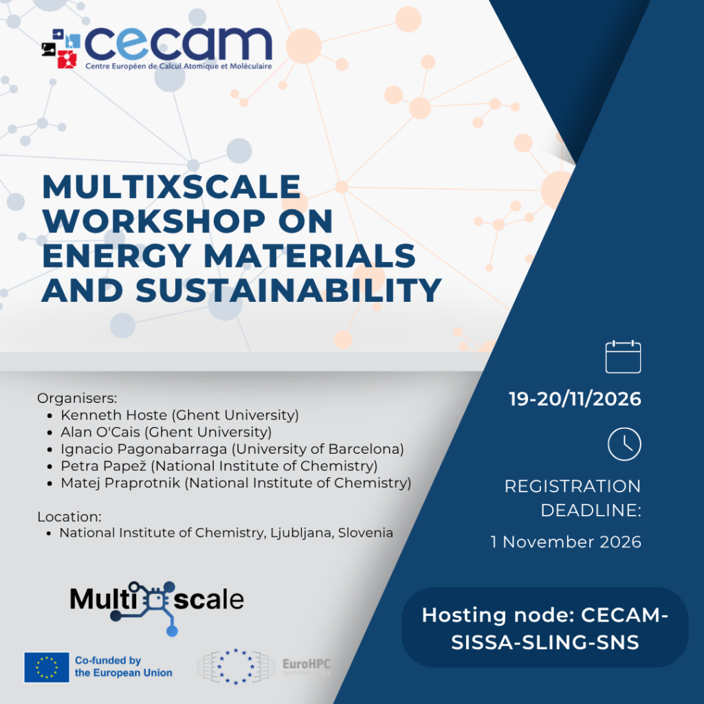 MultiXscale workshop Nov 2026
